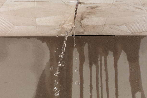 Professional Structural Drying technician working in Saint Jo, TX